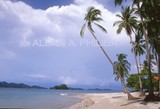 by Allan Philiba