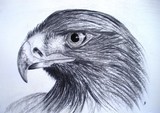 by Leraz Shutkever