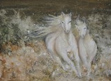 by Yiming Qin