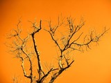by Rohit Shrivastava