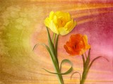 by Judy Olson