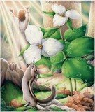 by Amy Turner