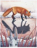 by Amy Turner