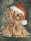 by Barbara Keith