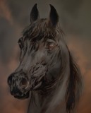 by paula dudzik