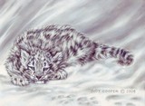by Judy Cooper