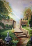 by Mira Tasich