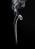 by Yasser Abou el ezz