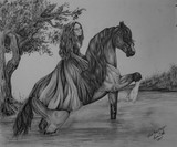 by Kim  Lawrie