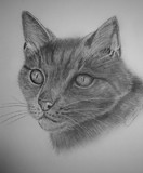 by Christina Ericsson