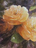 by Susan Kennedy