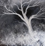 by julia kapp