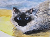 by Sharon De Vore