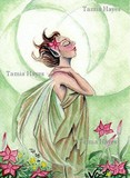 by Tamia Hayes