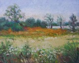 by Cindy Sugg