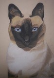 by Kathleen Oliver