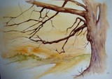 by Abbygale  Roblet