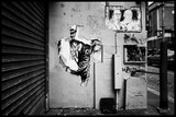 by giuseppe dibenedetto