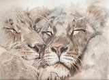 by Donatella Magara