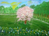 by Elizabeth Janus