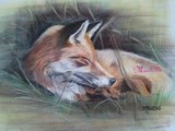 by Phil Strevens