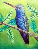 by DULCIE DEE