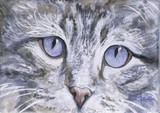 by Mary-Lee Sanders