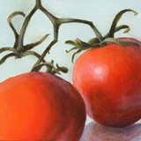 by Debbie Shirley