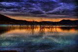 by Michael Rowley