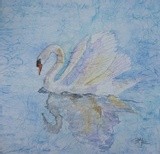 by Patricia Elgee