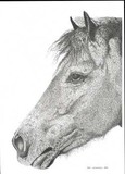 by Jen Longshaw