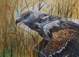 by Justin Dancing Hawk