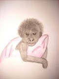 by Becca Hanson