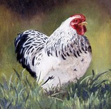 by hannie staat