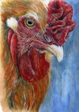 by Sharon Herbert