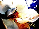 by Misty Bergener
