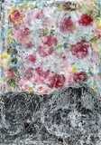 by mary ann coonrod