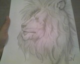 by E Nees