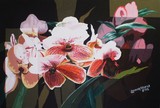 by Lander Blanza