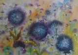 by Gudrun  Hreinsdottir 