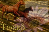 by Pixe Pence