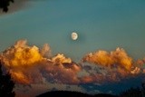 by Thomas Curry