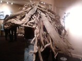 by Tammy J Johnson