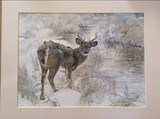 by Trudy Barlow