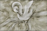 by Wanda Howe