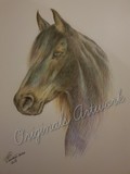 by Susan Rathbone 