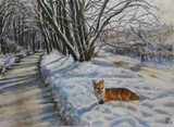 by Karin Winter