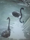 by Anastasia Overton