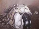 by Silvija Golub 