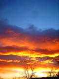 by Randy Schwanke
